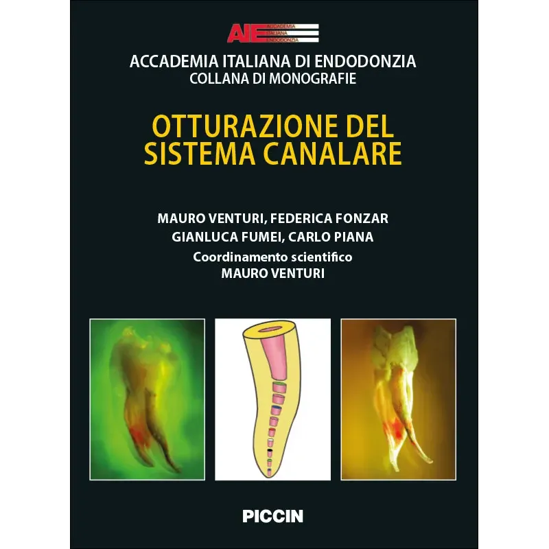OTTURAZIONE DEL SISTEMA CANALARE
