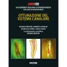 OTTURAZIONE DEL SISTEMA CANALARE