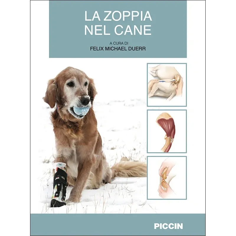 La zoppia nel cane