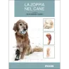 La zoppia nel cane