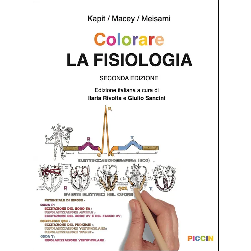 Colorare LA FISIOLOGIA