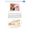 Anatomia applicata e Topografia regionale veterinaria