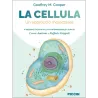 La cellula. Un approccio molecolare