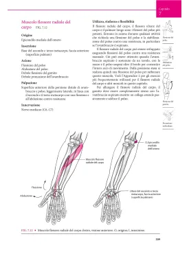 Manuale di kinesiologia strutturale
