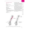 Manuale di kinesiologia strutturale