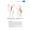 Neurologia