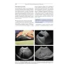 Tecniche Ecografiche - Point-of-Care per il Veterinario dei Piccoli Animali