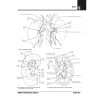 Netter’s Anatomia da colorare