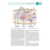 Immunodermatologia clinica