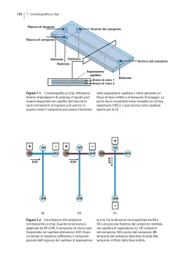 Cromatografia. Principi di base, preparazione di campioni e metodi correlati