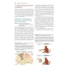 Fisiologia del comportamento