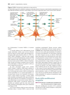 Fisiologia del comportamento