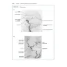 Neuroanatomia attraverso Casi Clinici