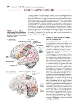 Neuroanatomia attraverso Casi Clinici