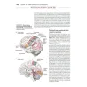 Neuroanatomia attraverso Casi Clinici