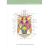 OSTEOPATIA NON STRUTTURALE
