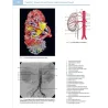 Atlante fotografico di anatomia umana