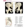 Atlante fotografico di anatomia umana