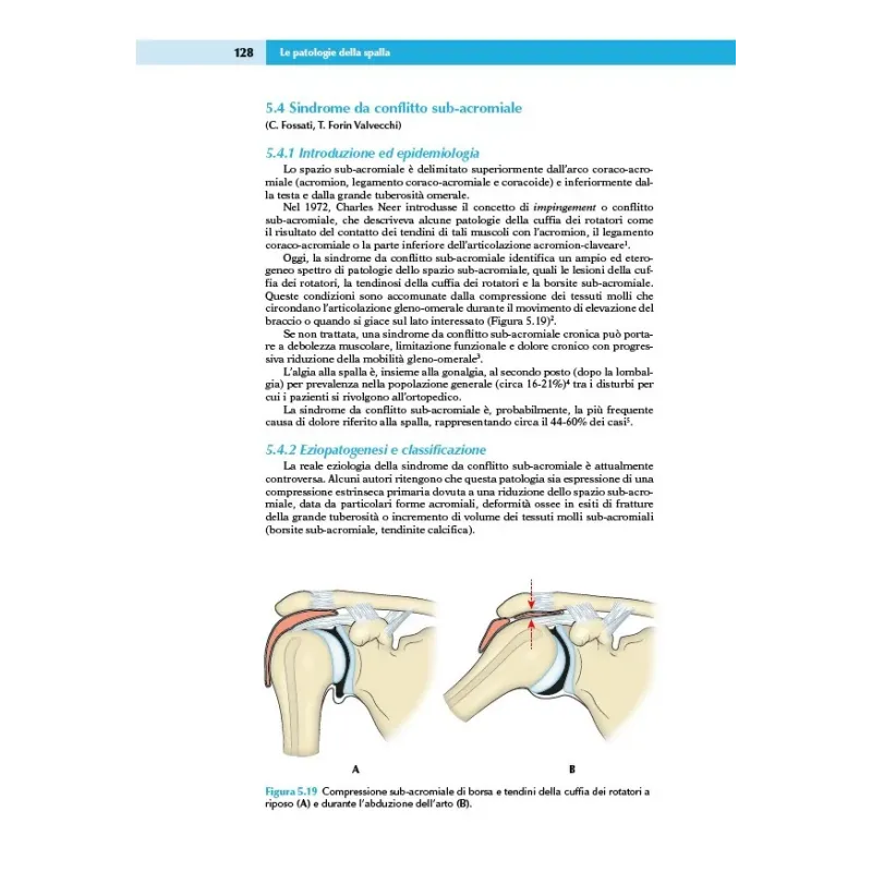 Ortopedia e Traumatologia