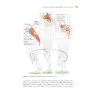 Tennis e anatomia umana