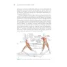 Tennis e anatomia umana