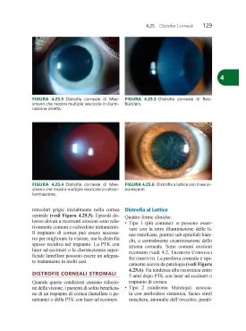 Wills Eye - Il Manuale - Diagnosi e Trattamento delle Malattie Oculari in Ambulatorio e Pronto Soccorso