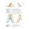 Atlante di ANATOMIA UMANA descrittiva