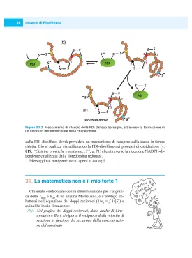 L’esame di Biochimica: briciole di conoscenza, logica e buon senso per evitare pericolosi luoghi comuni