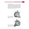 Congenital heARts - A Virtual Atlas of Congenital Heart Disease in Prenatal and Postnatal Life
