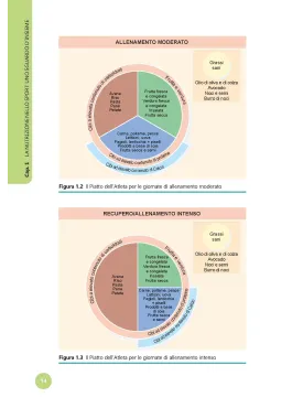 Guida completa alla ALIMENTAZIONE SPORTIVA