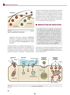 CITOLOGIA - ISTOLOGIA
