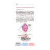 Ecocardiografia transesofagea con ECO 3D