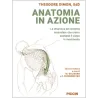 Anatomia in azione: La dinamica del sistema muscolare che crea e sostiene il corpo in movimento