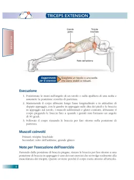 Allenamento a corpo libero e anatomia umana
