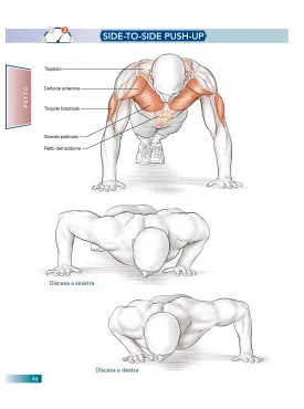 Allenamento a corpo libero e anatomia umana