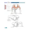 Allenamento a corpo libero e anatomia umana