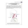 Anatomia in azione: La dinamica del sistema muscolare che crea e sostiene il corpo in movimento