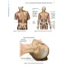 Atlante di tecniche osteopatiche