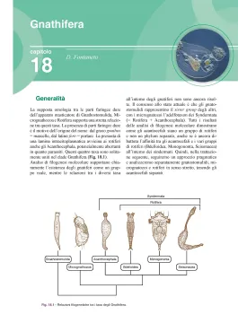 Manuale di Zoologia