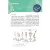Manuale di Zoologia