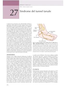 Elettromiografia e Disordini neuromuscolari: Correlazioni clinico-elettrofisiologiche ed ecografiche