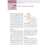 Elettromiografia e Disordini neuromuscolari: Correlazioni clinico-elettrofisiologiche ed ecografiche