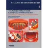 Tecniche Implantari ed Implantoprotesiche - Vol . 6