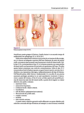 Clinica Ortopedica