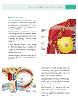 Chirurgia Oncoplastica della Mammella-Atlante di tecniche chiurgiche