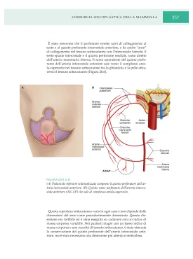 Chirurgia Oncoplastica della Mammella-Atlante di tecniche chiurgiche