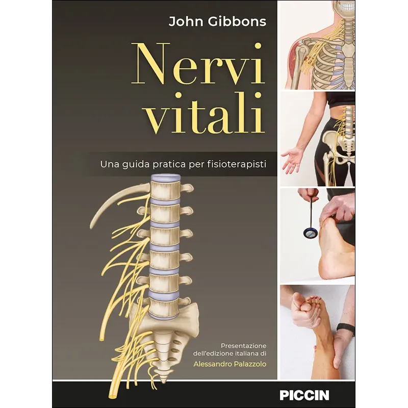 NERVI VITALI Una guida pratica per fisioterapisti