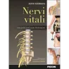 NERVI VITALI Una guida pratica per fisioterapisti