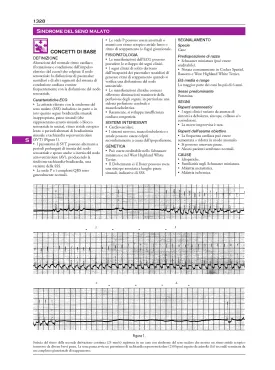 Medicina del cane e del gatto – Consultazione in cinque minuti