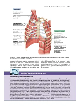 Fisiologia dell’esercizio - Teoria e pratica per forma fisica e performance